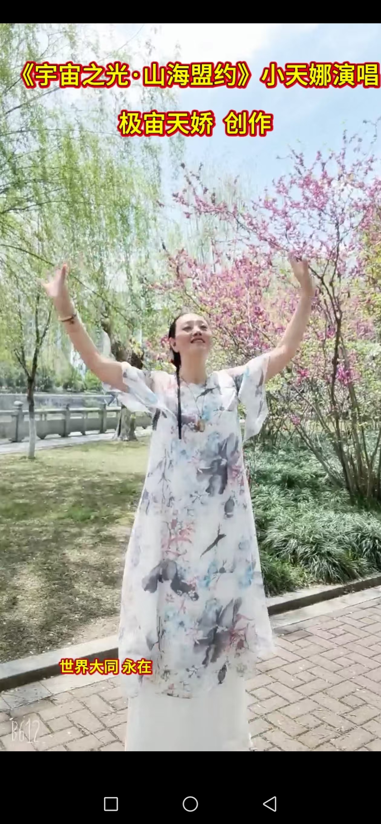《宇宙之光·山海盟约》王正天 演唱 极宙天娇 创作 - 宇宙文化-宇宙文化