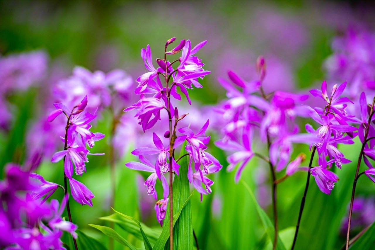 20260309192450621-mmexport1622799436111