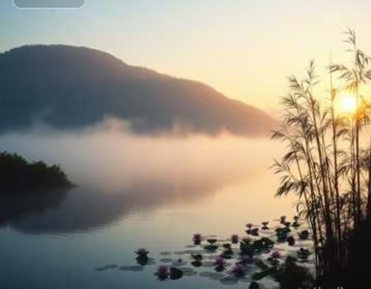 《西溪星岸》小天娜演唱(中)-宇宙文化