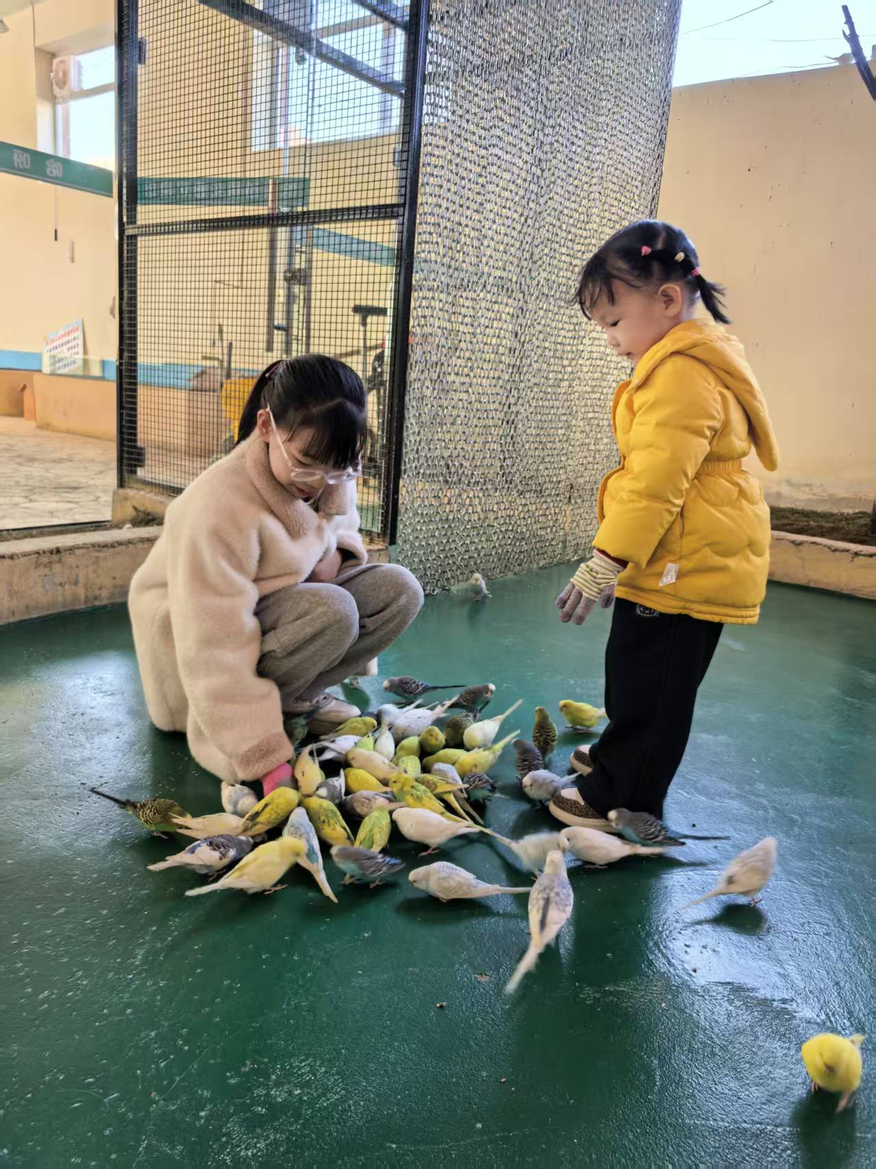 20260313204156455-mmexport1772943246918