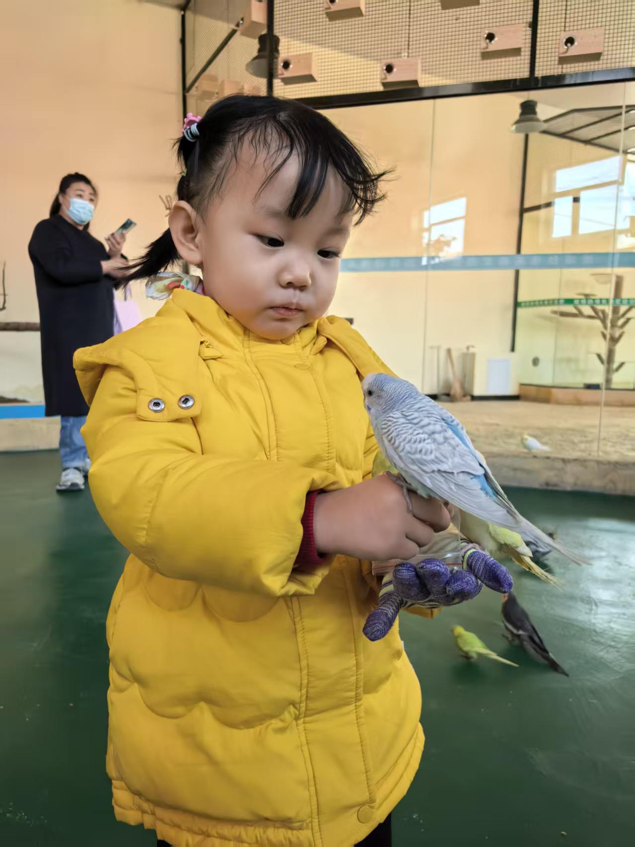 20260313204603685-mmexport1772943252591